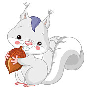 Obraz pre deti - Veverička zs4574